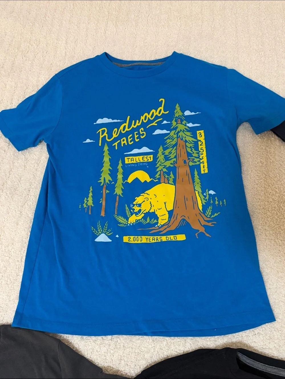 Old Navy Boys Outdoors Graphic Tee set